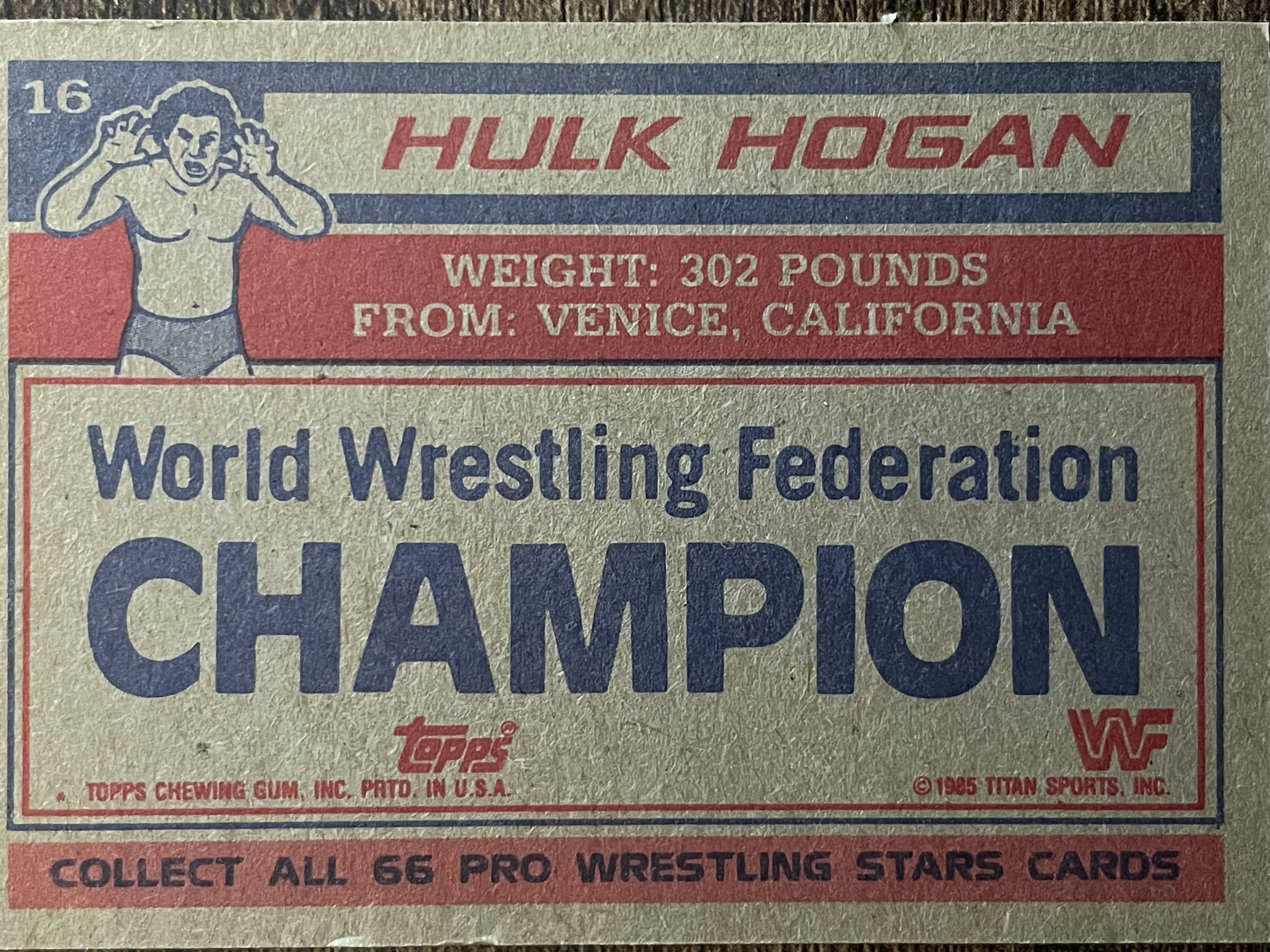 Hulk Hogan #16